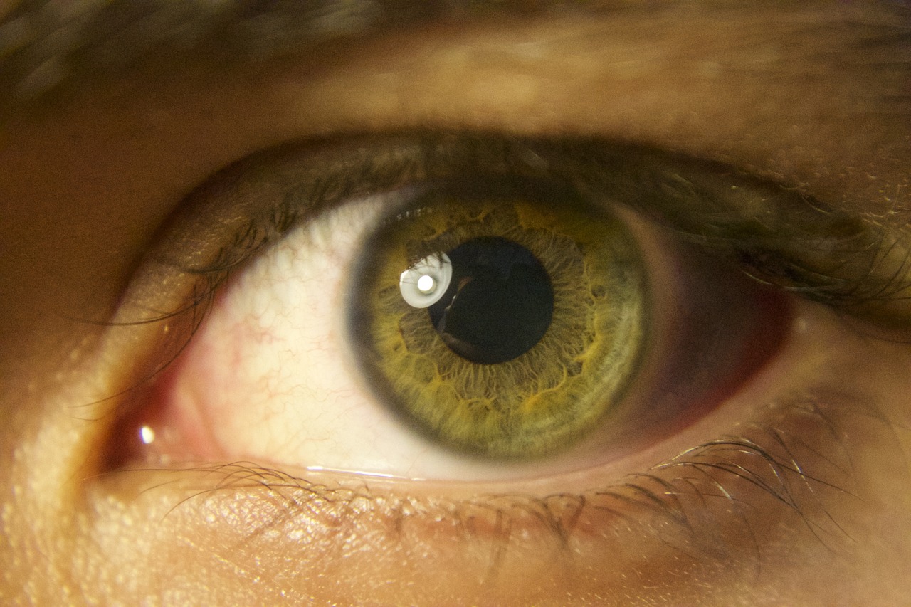 retinita-pigmentara-retinopatia-ar-putea-fi-vindecata-cu-ajutorul-terapiei-genice