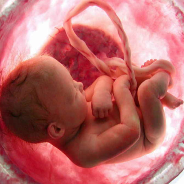 stiati-ca-fetusii-umani-pot-distinge-din-interiorul-uterului-forme-exterioare